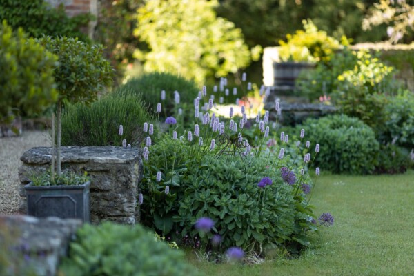 The Secluded Garden - NICHOLSONS