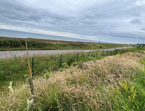 Soil Survey And Landscape Scheme – Aberdeen
