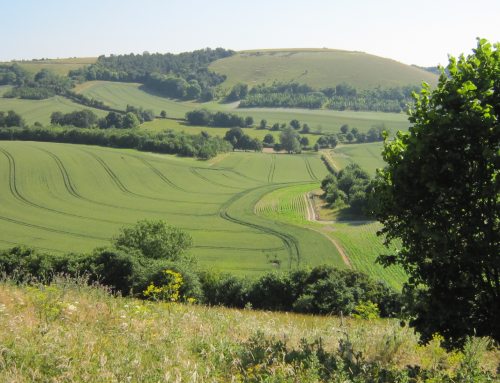 Using Environmental Net Gain For Sustainable Development Plans In Toddington