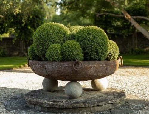 The Art of Topiary